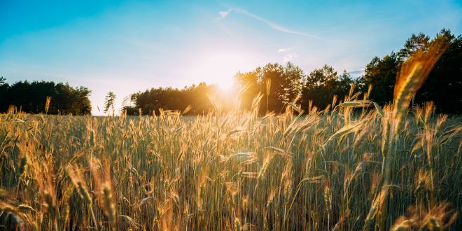 Property Newsletter: June 2018