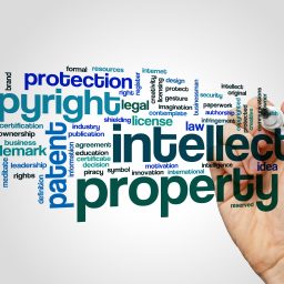 intellectual property