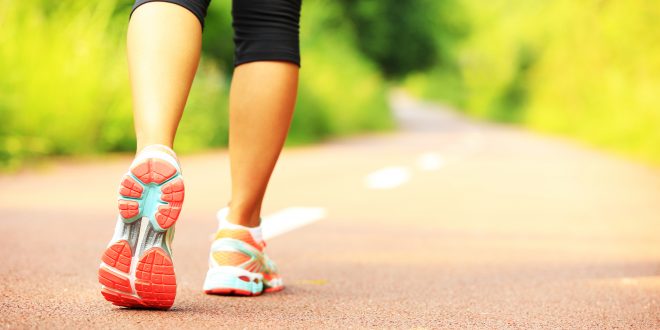 Hardwicke’s Property Team support Land Aid Step Challenge