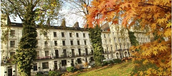 Property Newsletter: November 2020