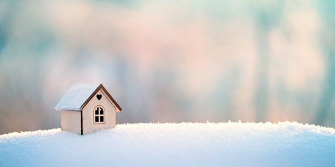 Property Newsletter: Christmas 2019