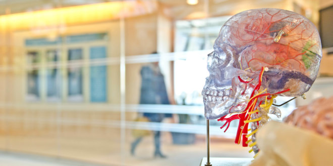 Clinical Negligence & Personal Injury Newsletter: February 2021