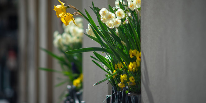 Property Newsletter: April 2021